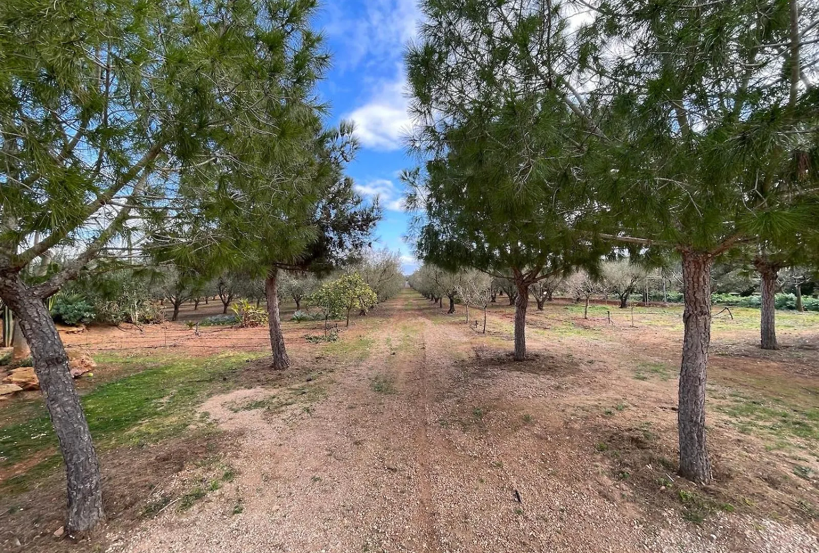 펜션 Finca Los Olivos - Grupo Berna 세스 살리네스