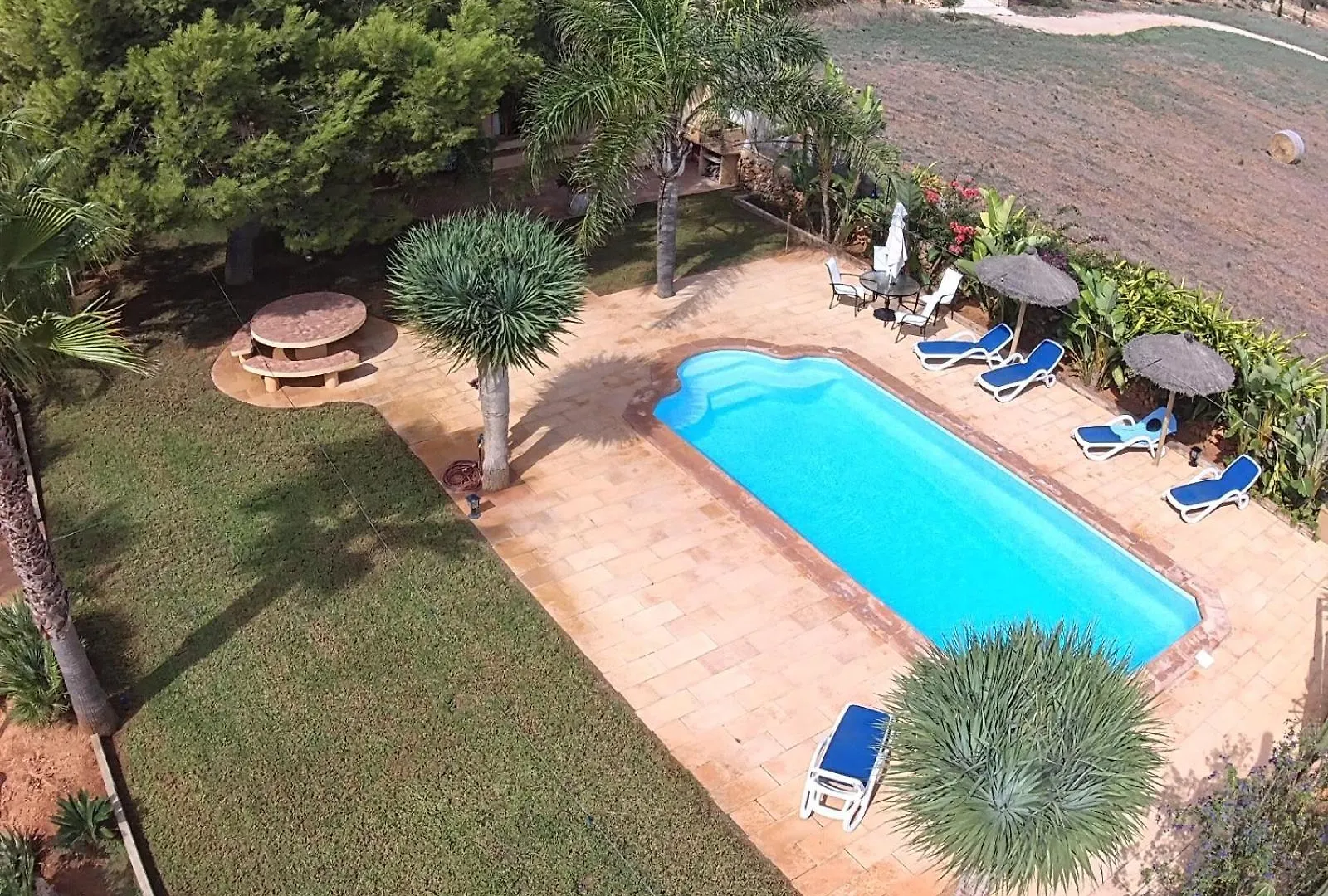 Finca Los Olivos - Grupo Berna location