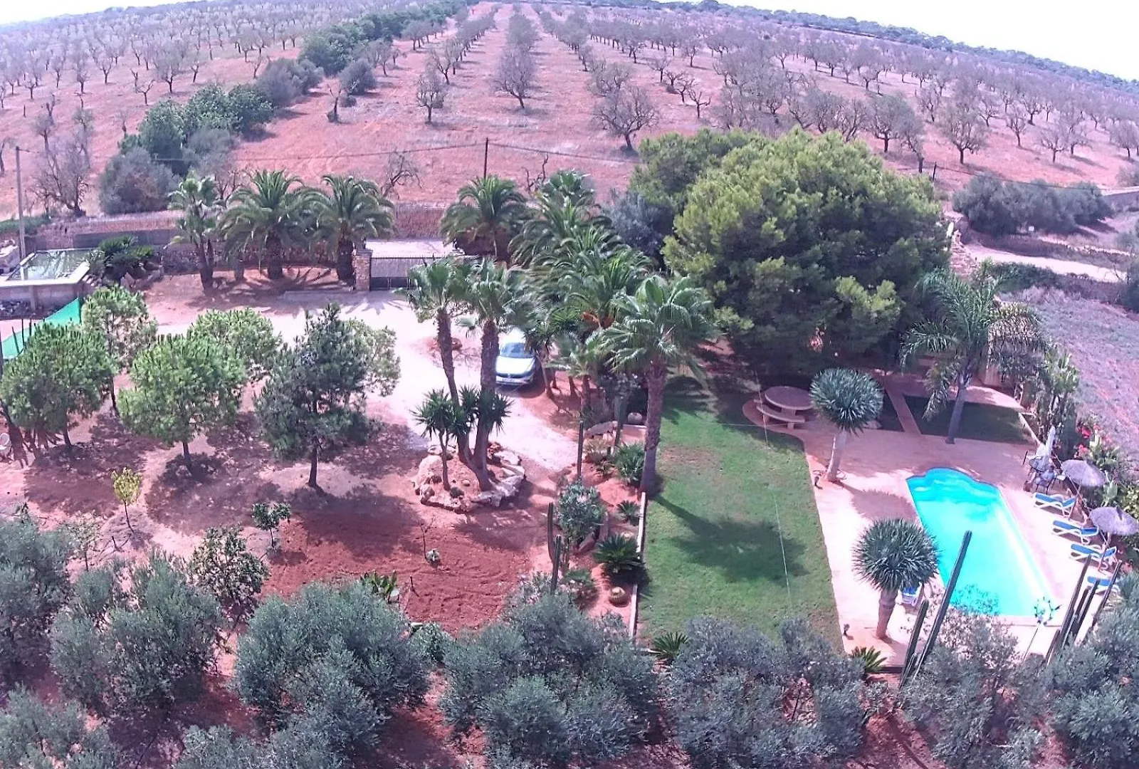 Finca Los Olivos - Grupo Berna Ses Salines  Spanje